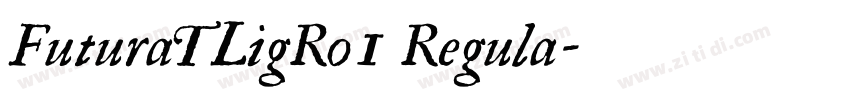 FuturaTLigRo1 Regula字体转换